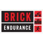 cropped-brick-endurance-icon.png